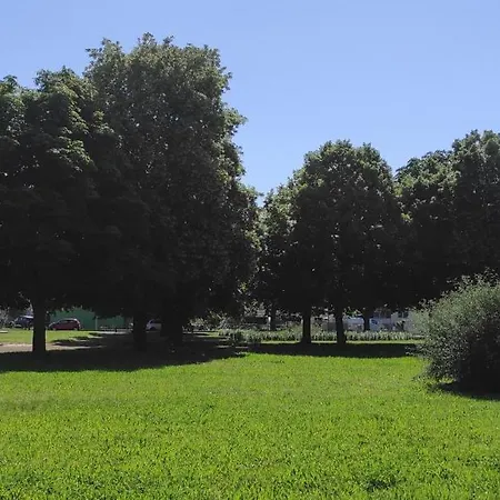 La Barberousse - éclats Bleus Et Dorés